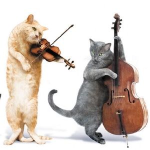 Meet your Posher, Lydia