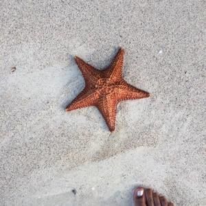 Meet your Posher, Maureen