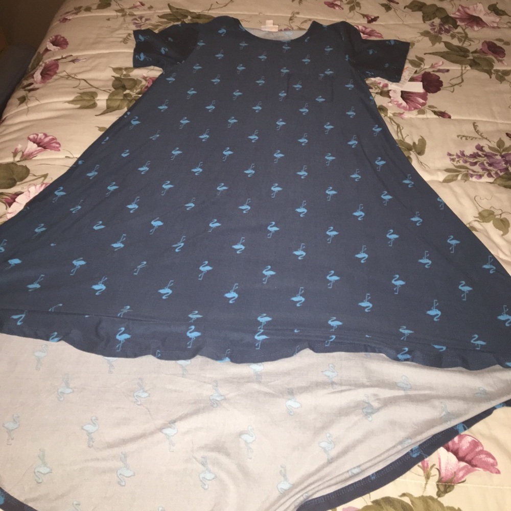 NWT lularoe Carly xs