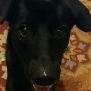 Meet your Posher, Kylee