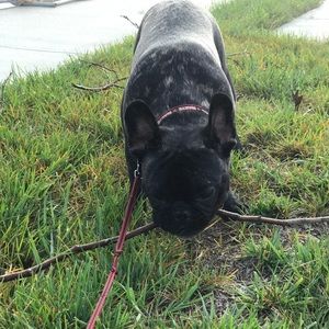 Meet your Posher, Jason