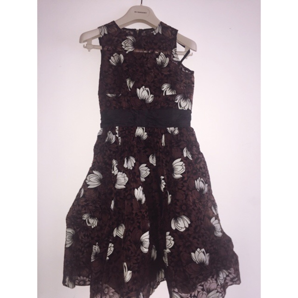 Anthropologie Dress - Never Worn