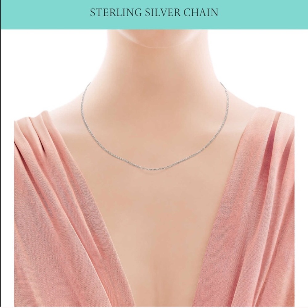 Tiffany necklace FINAL PRICE