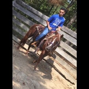 Meet your Posher, Tony