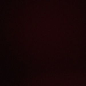 Meet your Posher, Skylar