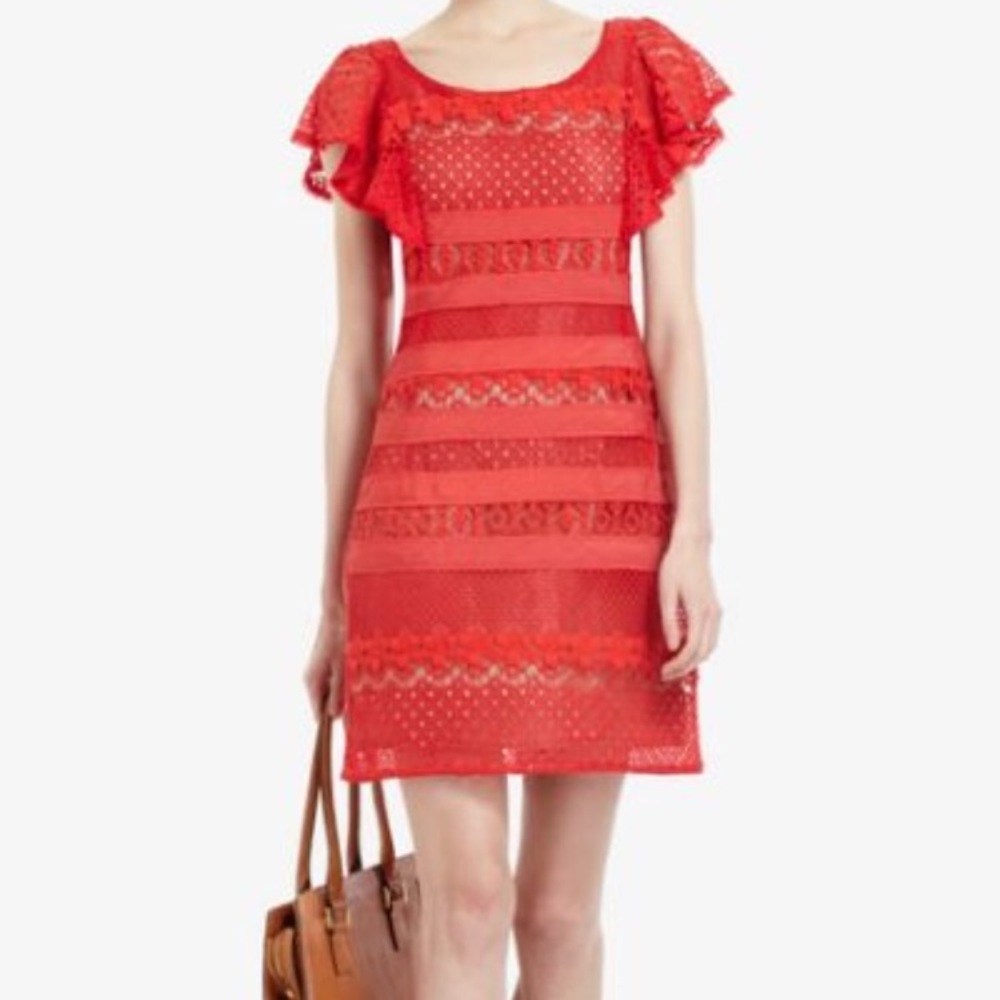 BCBG Dress