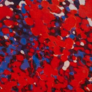 Meet your Posher, Vee