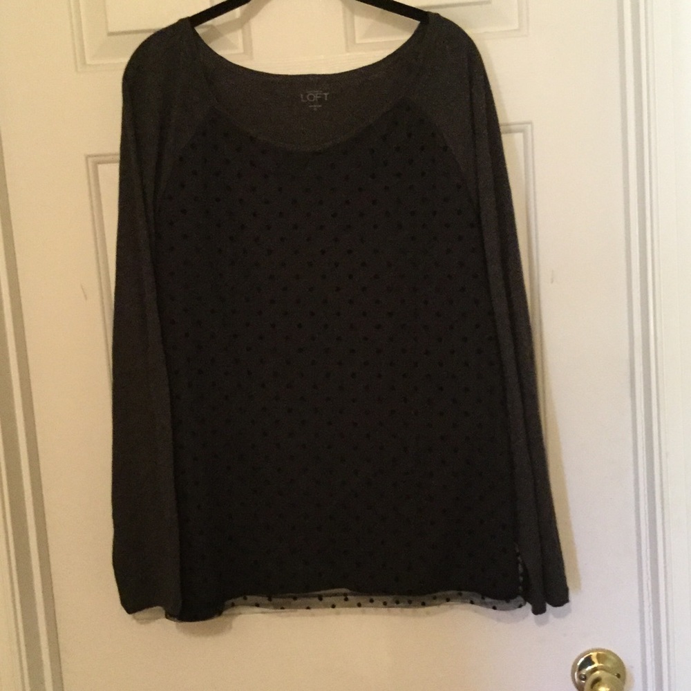 Ann Laylor Loft Charcoal grey top.