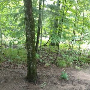 Meet your Posher, Jean