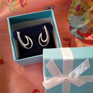 STUNNING EARRINGS NWT