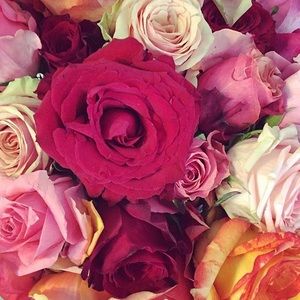 Meet your Posher, Dolma