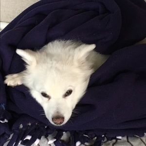 Meet your Posher, Deborah