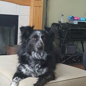 Meet your Posher, Ann