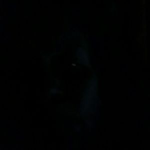 Meet your Posher, Rena