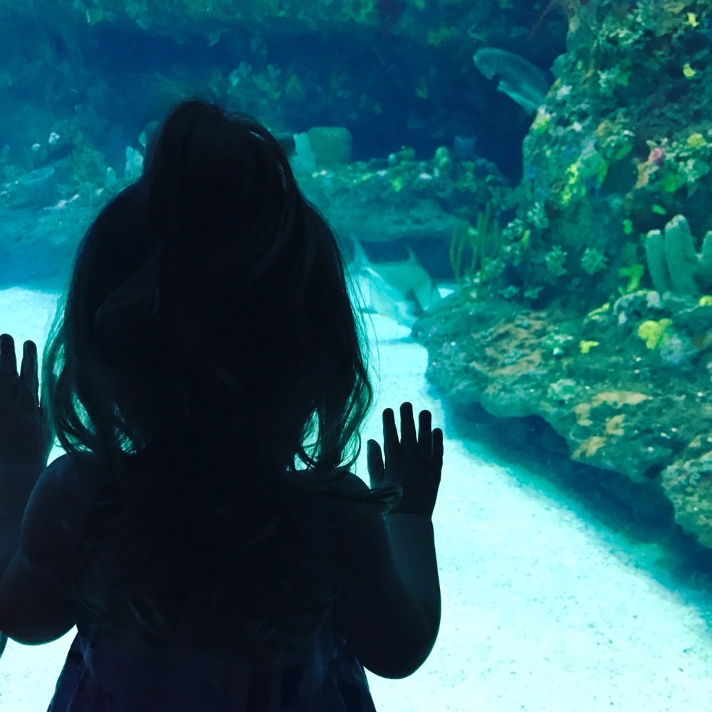 Meet your Posher, Brandy