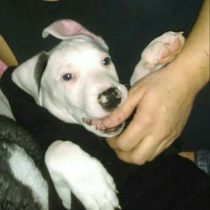 Meet your Posher, Lori