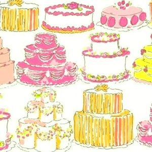 FOUND Lilly Pulitzer Let Them Eat Cake Skirt/Dress