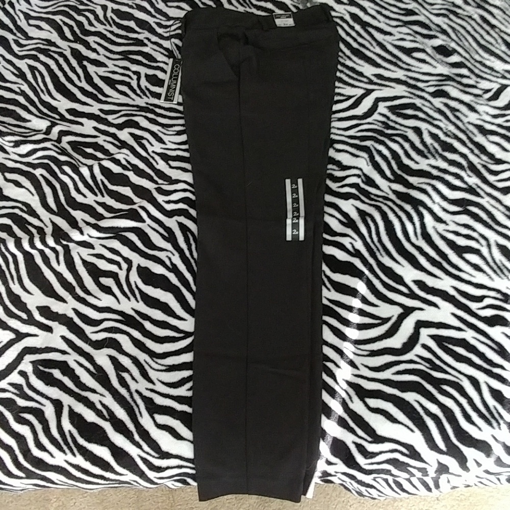 ExpressColumnist dress pants