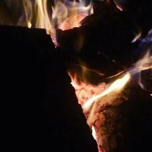 Meet your Posher, Willie