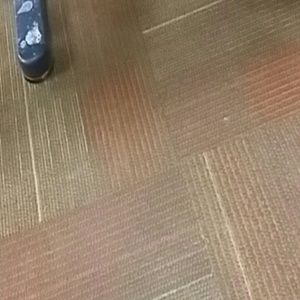 Meet your Posher, Meagan