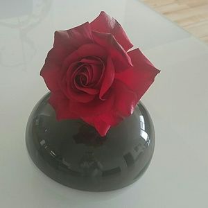 Meet your Posher, Gleny