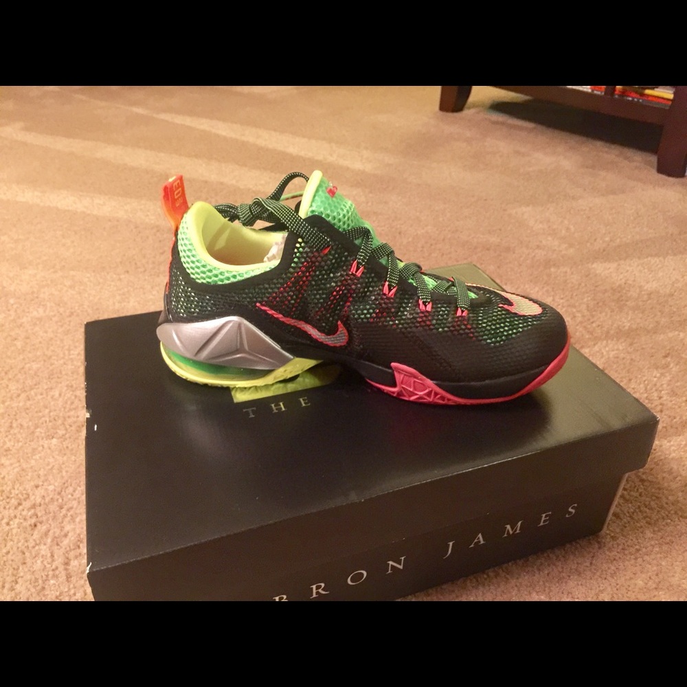 Brand new Nike lebron X11