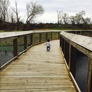 Meet your Posher, Abigail