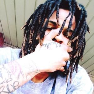 Meet your Posher, Thestoners