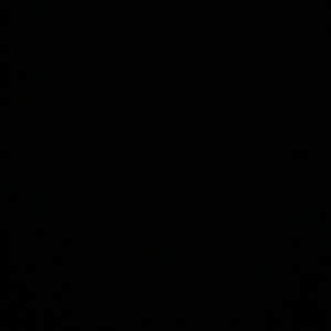 Meet your Posher, Faye