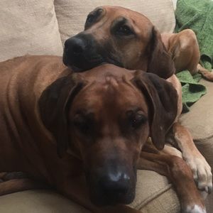 Meet your Posher, Adrian