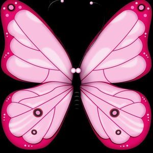 Meet your Posher, Damaris