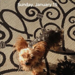 Meet your Posher, Jill