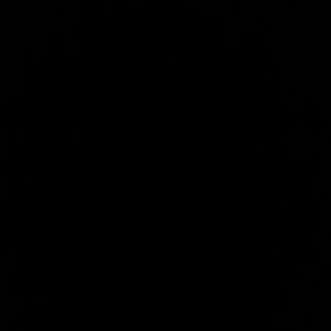 Meet your Posher, Dorothy