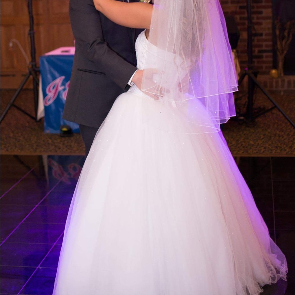 David's Bridal Ball Gown - Picture 4 of 4