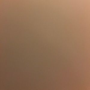 Meet your Posher, Maddie