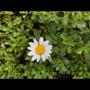 Meet your Posher, Colby