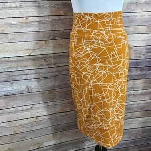New With Tags! XS LuLaRoe Cassie Skirt