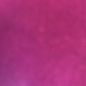 Meet your Posher, Edith