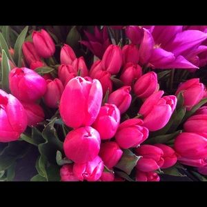 Meet your Posher, Parastoo