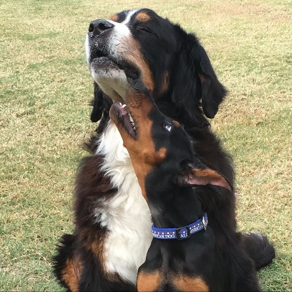 Meet your Posher, Christina - Picture 3 of 7