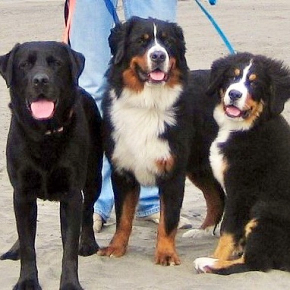 Meet your Posher, Christina - Picture 7 of 7