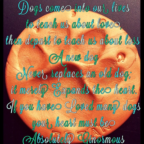 Meet your Posher, Christina - Picture 5 of 7