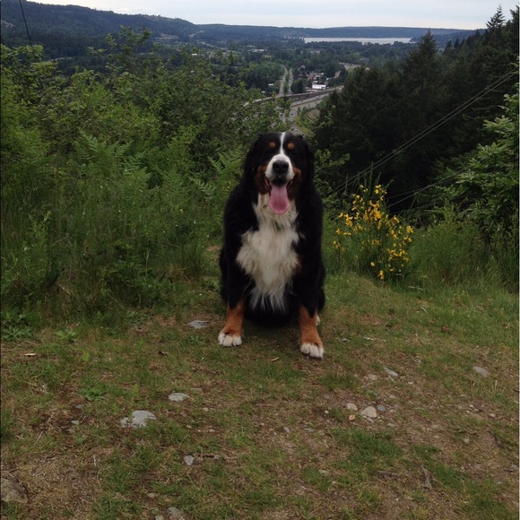 Meet your Posher, Christina - Picture 6 of 7