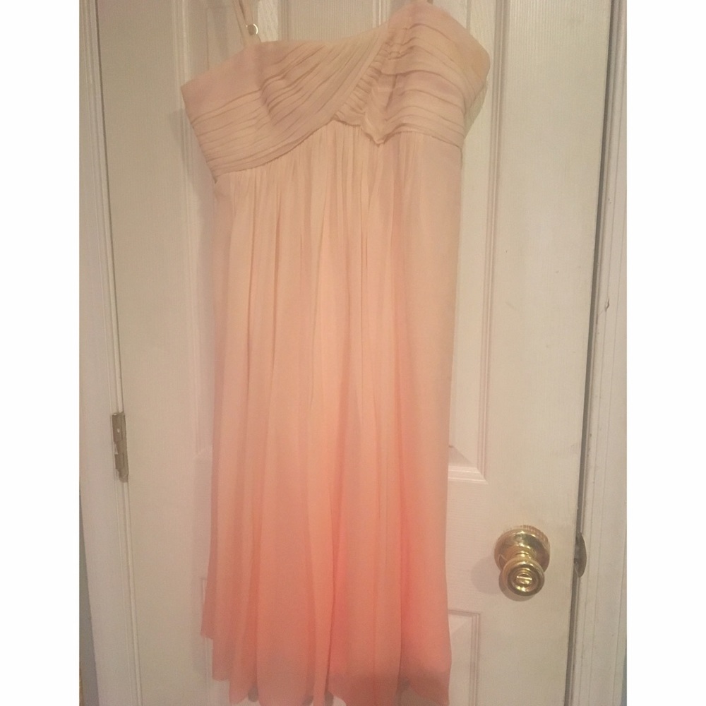 BCBG Ombré Dress