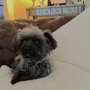 Meet your Posher, Emma