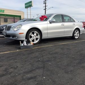 Meet your Posher, Sammy