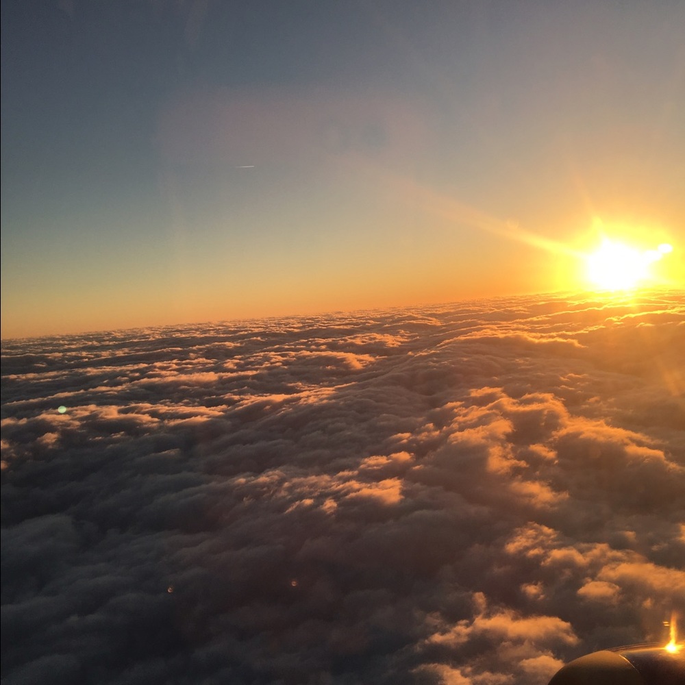 Meet your Posher, Liz