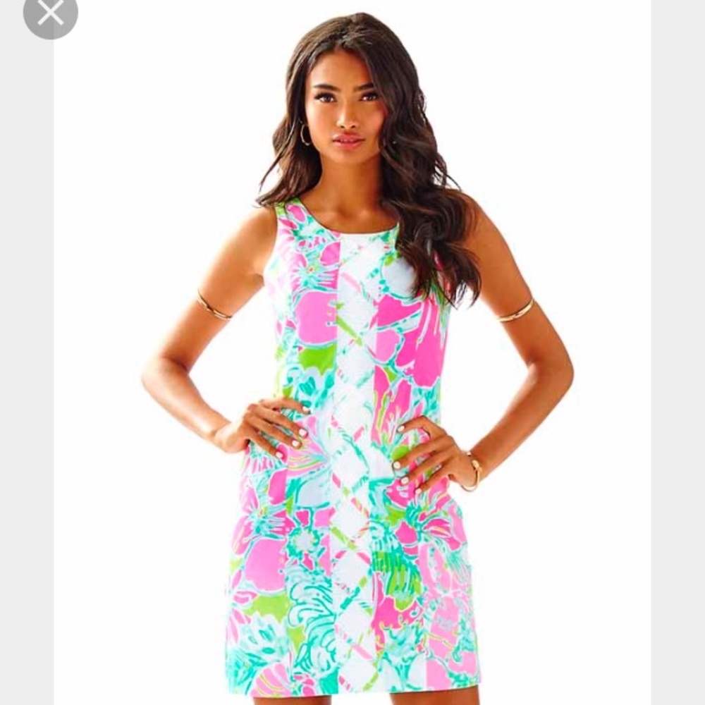 NWT Lilly Don't Give a Cluck dress