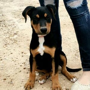 Meet your Posher, Leslie