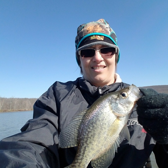 Meet your Posher, Elizabeth - Picture 1 of 1